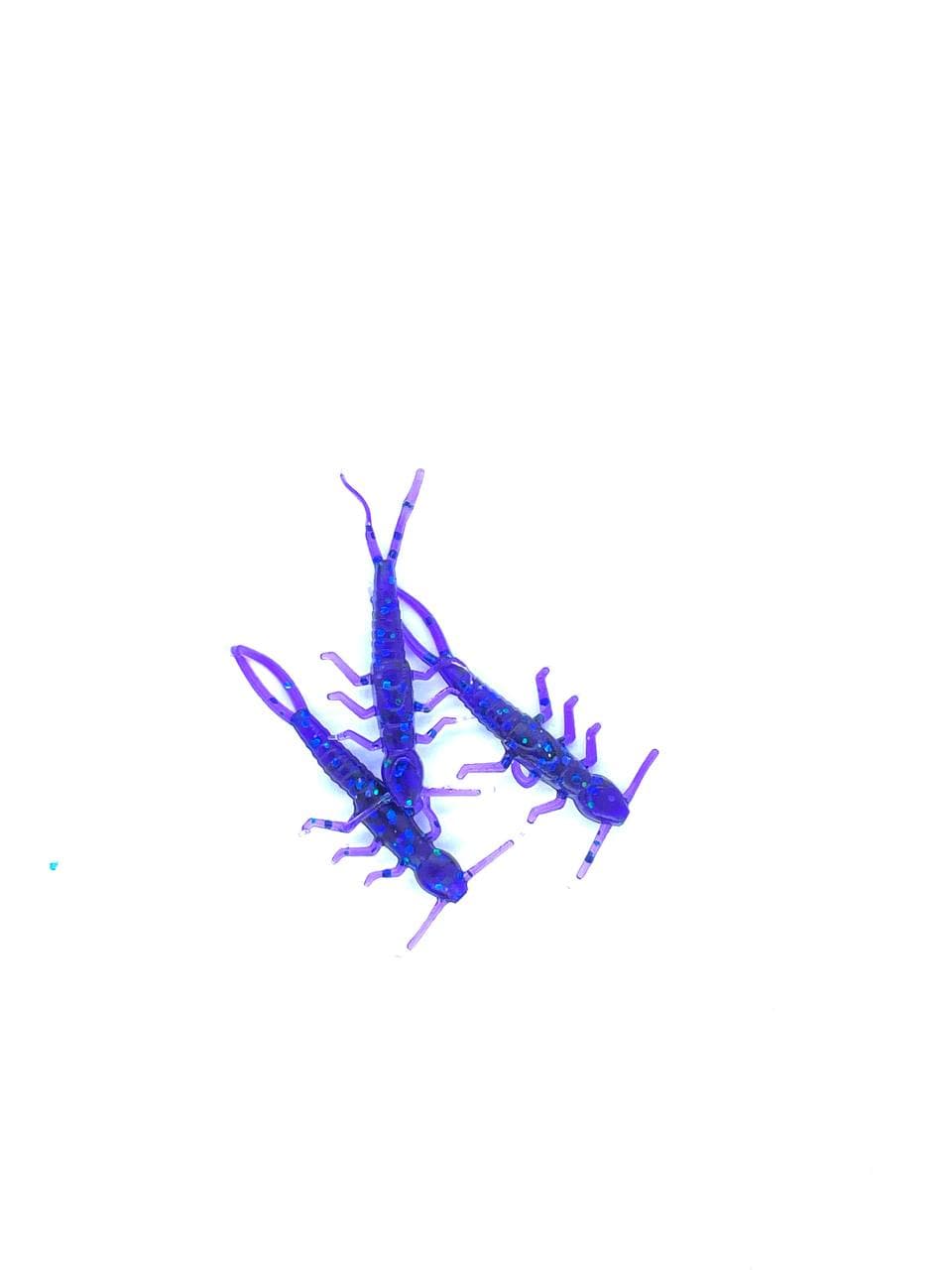 Нічний Слаг